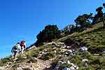 Le sentier qui conduit au sommet de Chamechaude