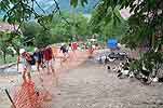 Les canards des Cotteriaux