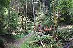 Le pont sur le ruisseau salin